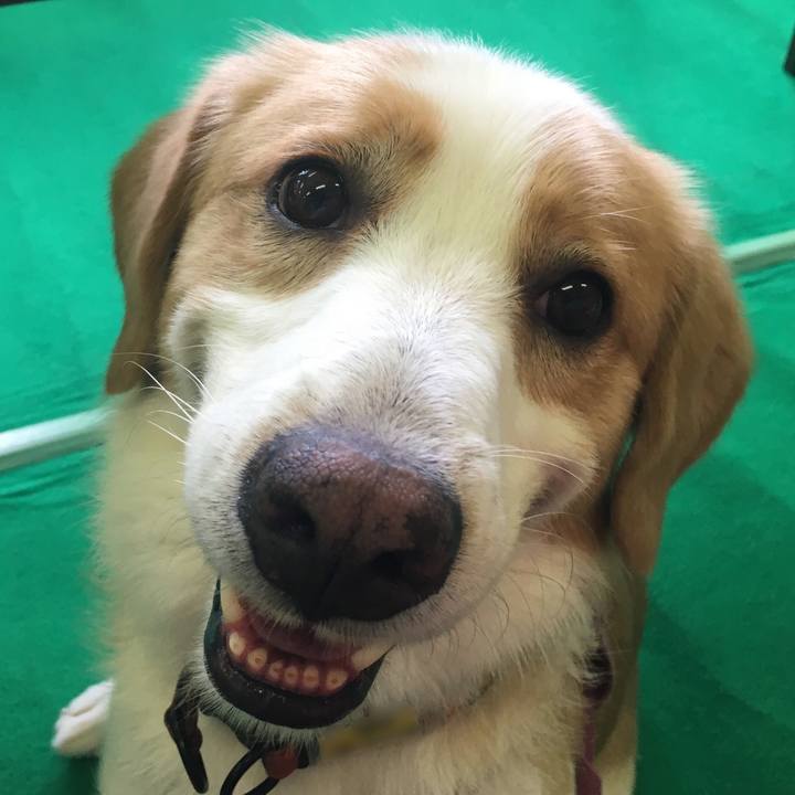 889b6746 6863 46cf a075 8ed3941a2b37