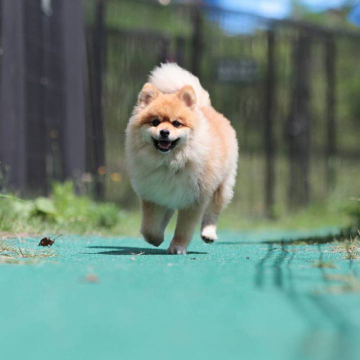 889b7cab 78b1 4a7a b639 08680fd1f3ca