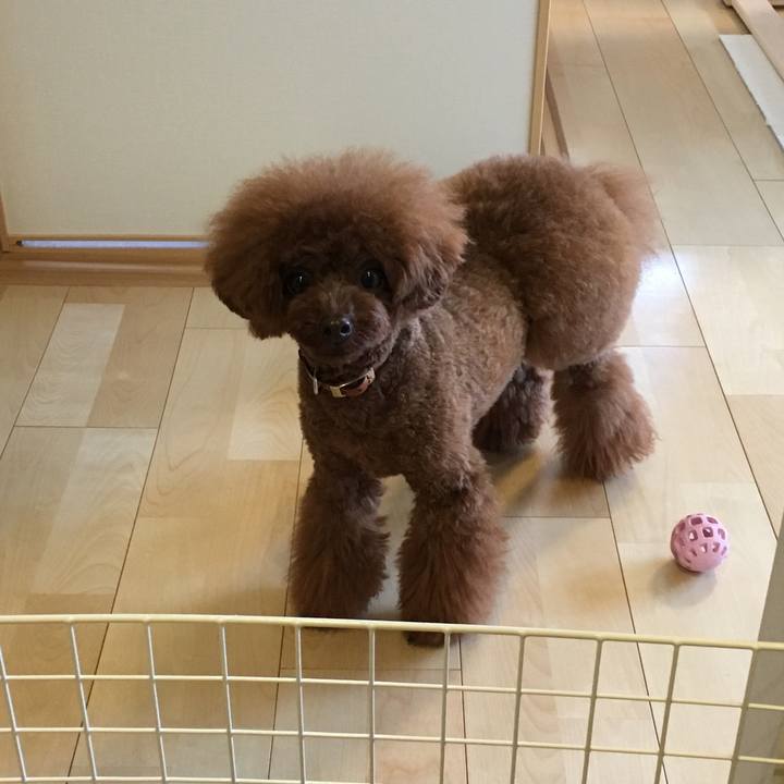 889bd453 a950 4658 b841 8c72c173217f