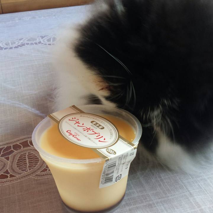 889bea83 c0d9 4d7d 8ded 22532a500772