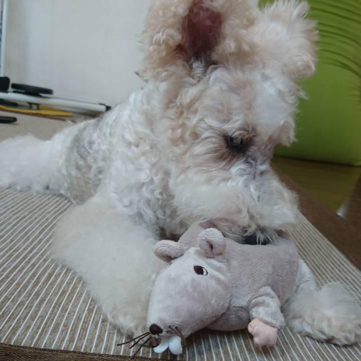 889c1671 c638 4b7b ba8c 3c32de10bcb9