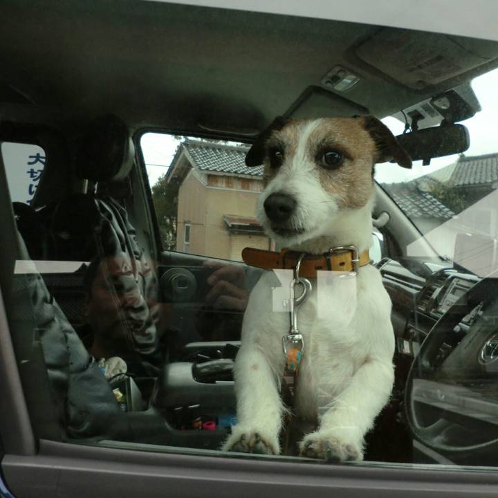 889cae31 82dd 4c2e 9535 a411372a1142