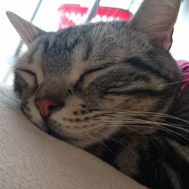 889ceec4 c328 49a9 ba25 3e2b345106b2