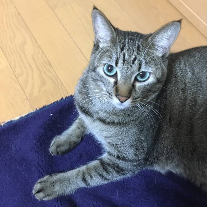 889d29b2 a8d2 45f6 988e 4b6d44b6ae9a