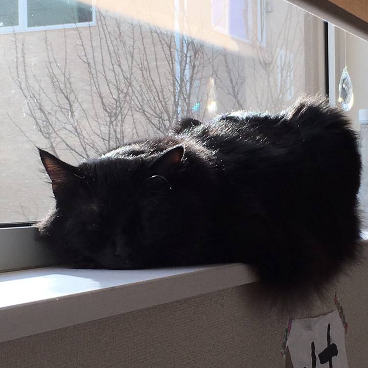 889d3de9 9b64 49e1 980f 90a870495801