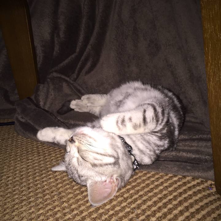 889d5970 0e53 44be a33a 3b3d84423cf9