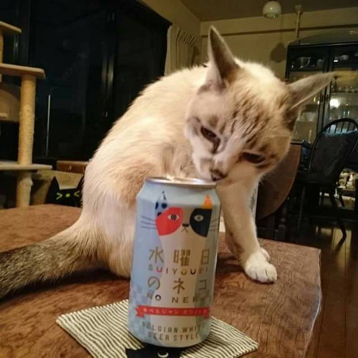 889dc119 4022 4aef 81e5 a82247dfd712