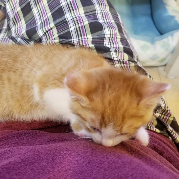 889e2714 f5b7 45be 8ea6 f7e0e10d9098