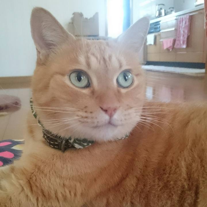 889f1799 1673 4376 b305 f1c14882f7ab