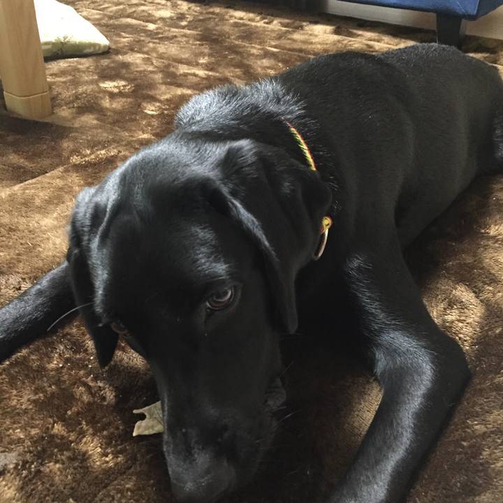 889f3414 329a 4750 9a0e 2df9d29df147