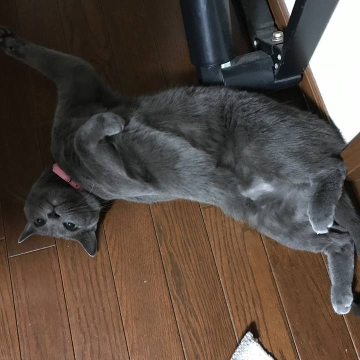 889f7a36 2abd 40f3 b8e4 162fa2950c6a