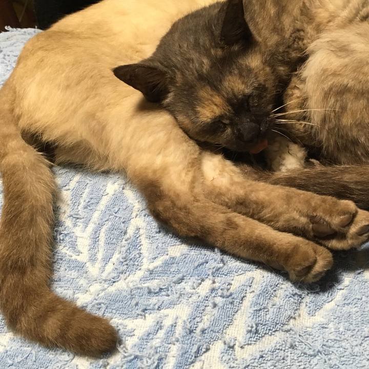 88a0177f 2534 4dd8 870f d42fc195d453