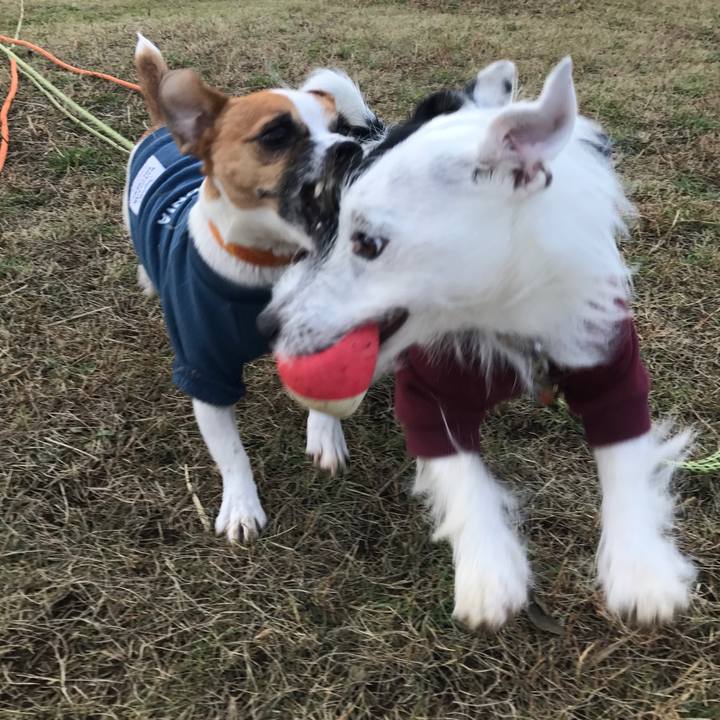 88a0ae18 7a4f 4635 ac01 01342f1a3017