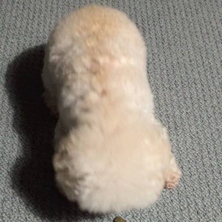 88a143f6 3ed9 4edb aa4b 44aa0b512d17