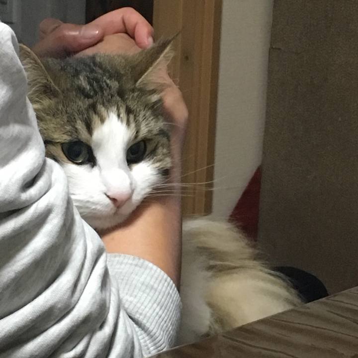 88a18835 ca30 427d 959d 167cee967357