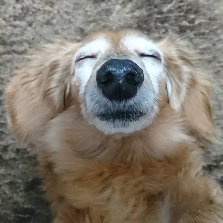 88a1a70b 753b 454c a6c3 88541a38e9d1