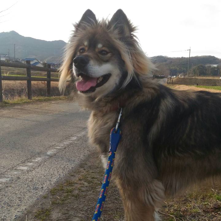 88a1e747 3c30 46d2 83cb b0c86f796eeb