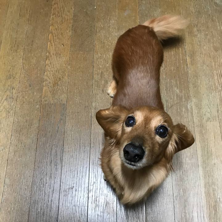 88a27f23 eb3c 45f8 8c7e f3d761a6443a