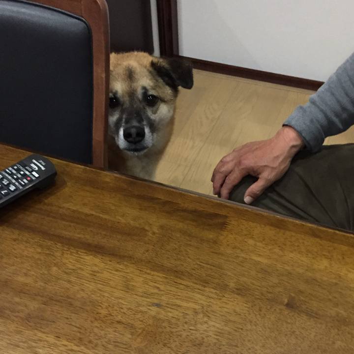 88a289e5 06c9 44f2 882d 2ae743073684