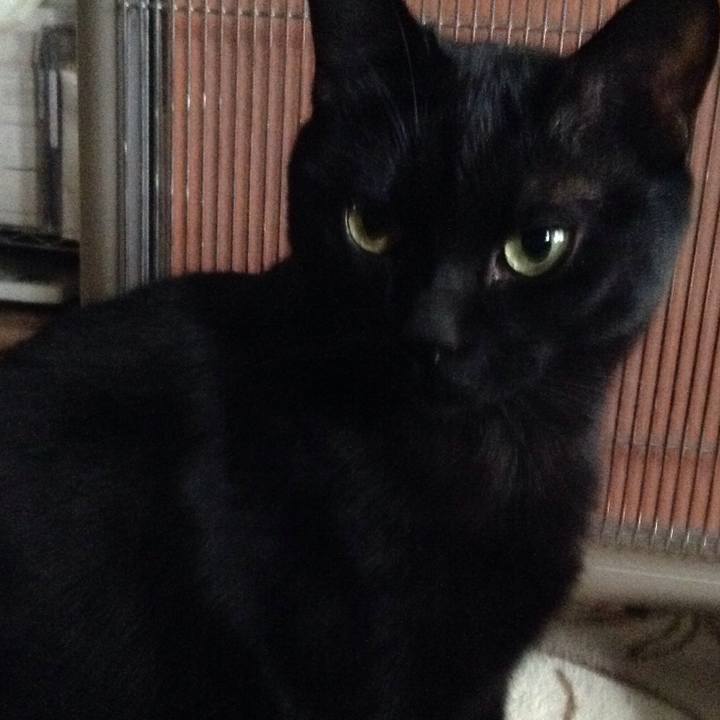 88a2d829 3068 408e 8f0f 367ef5cae864