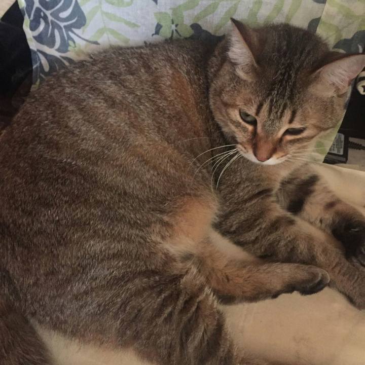 88a2f322 3faf 4440 b570 400dd9336082