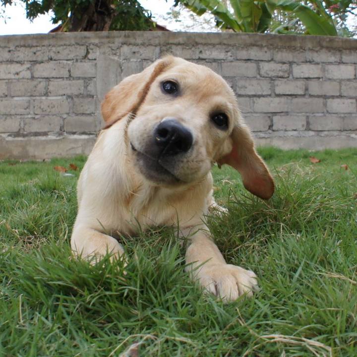 88a34a5b 332b 472c 83ae 0ef9c347afa5