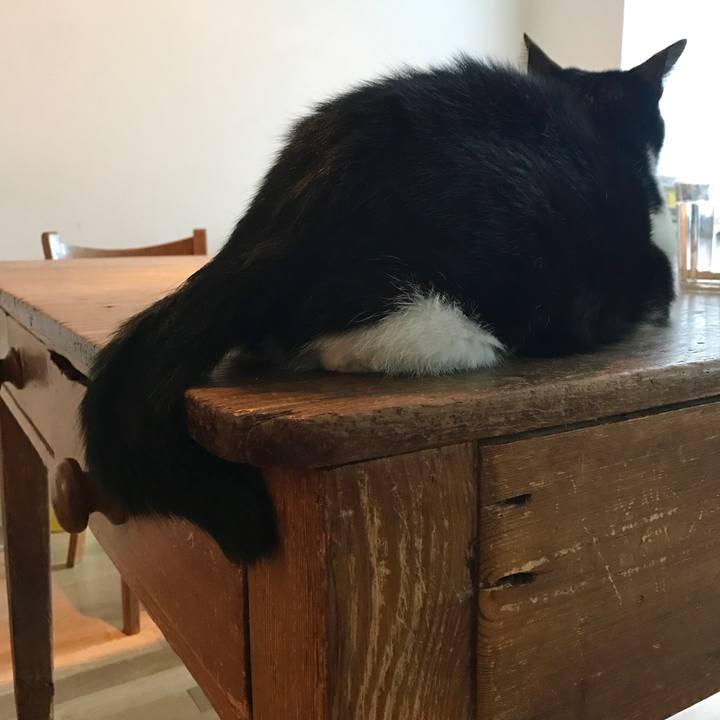 88a381ea 8055 4874 a4af 80c1ac0e2f75