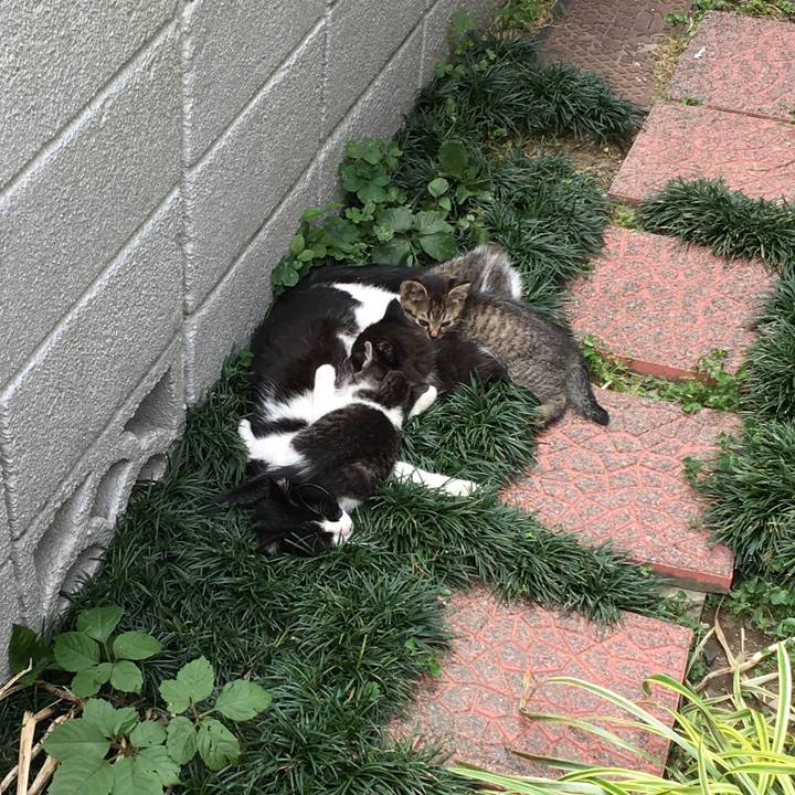 88a49003 03b9 4b0f a950 6eadc82ae75b