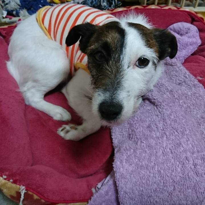 88a4e708 7693 486b a350 52ace3ac7b04