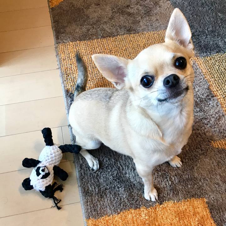 88a5a0ea 52bf 4435 b269 502630d4d853