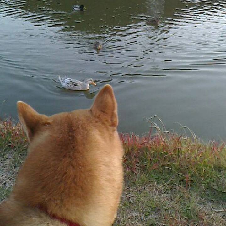 88a5bd2e 02bb 40a6 95c2 ba3f444eaff5