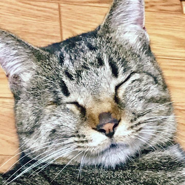 88a5e85b 0870 4a65 bfc3 713c3984b9a1