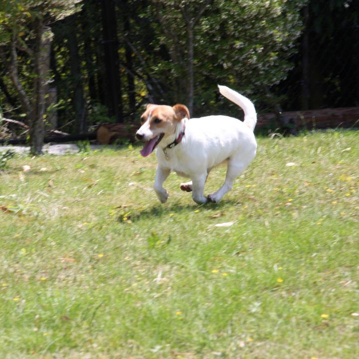 88a65213 995e 4578 ada8 b7e46540cd31