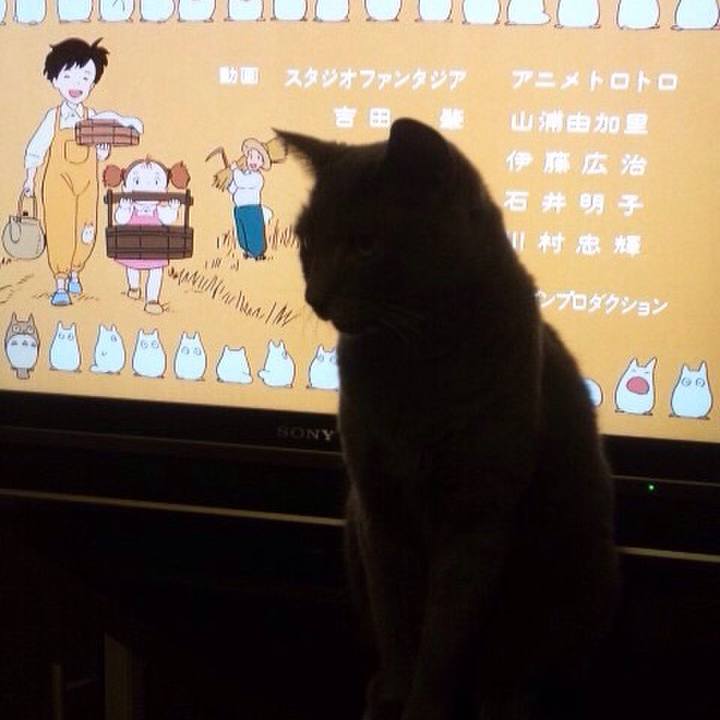 88a6aa00 80b7 4bd1 abc9 7d24ccaeefdd