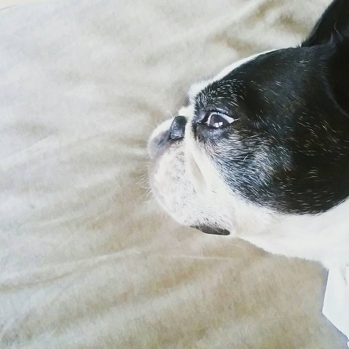 88a7b4d3 689b 45a2 a6c6 c32e1247c9af