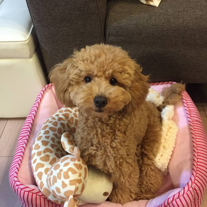 88a87009 3f79 4622 a576 1f93f7c1de05