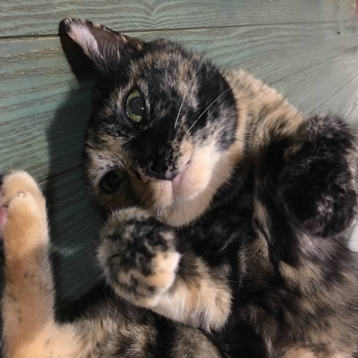 88a9c253 5f93 427a a74b 510309ff7a14