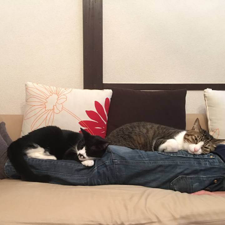 88aa6009 32ed 430f a481 a92b07ec3298