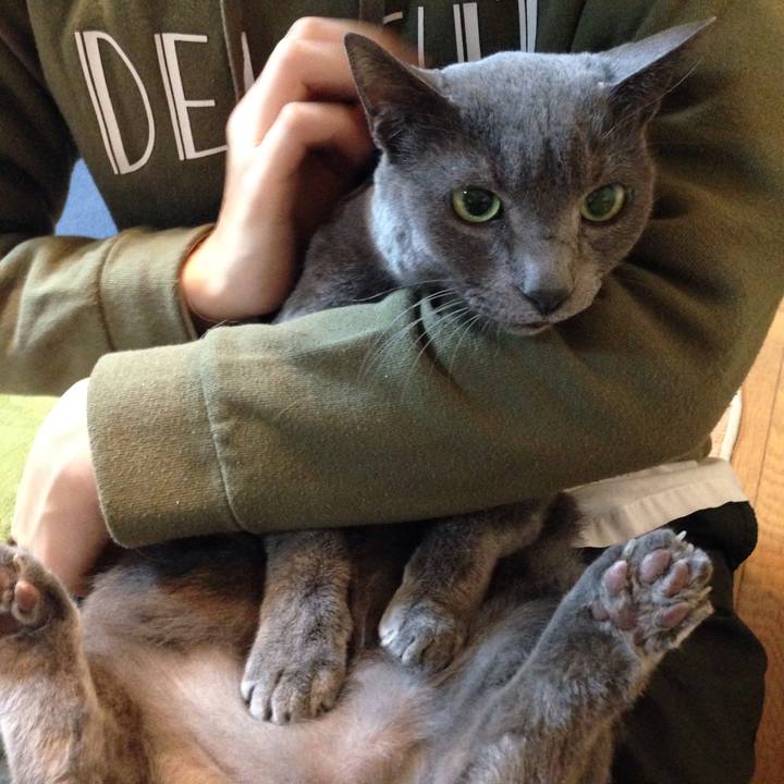 88aa9287 8c1c 4179 becf da1504d2cb06