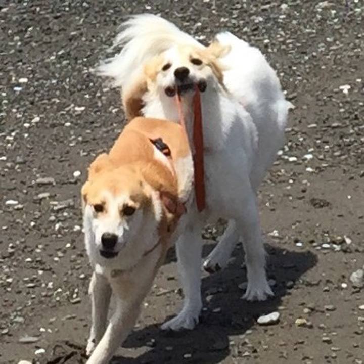 88aae587 8926 490d a670 f23b244f883b