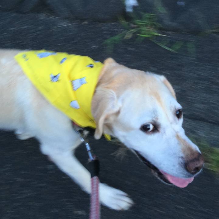 88ab0442 212d 4b7f 9e27 66e115cfa636