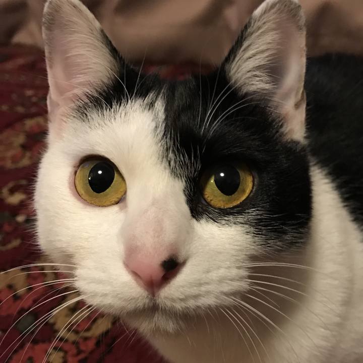 88ab0d97 2b1e 447f 8538 e82ac41416b6