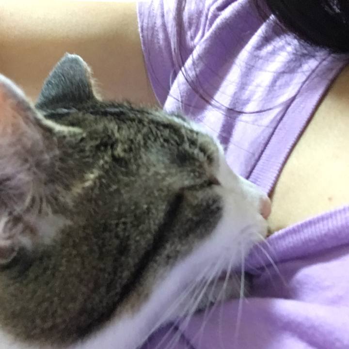 88ab52f3 0bb2 4956 8cd3 12b5e5a46bc7