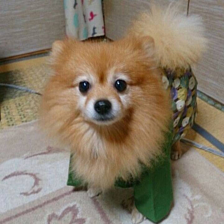 88ab54ea b8cc 4e07 8e2b e340a6a845b0