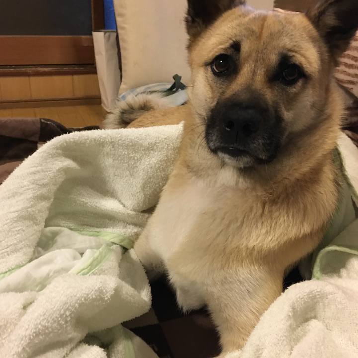 88ac1db4 2089 4a28 a929 67e7b8f63bfe