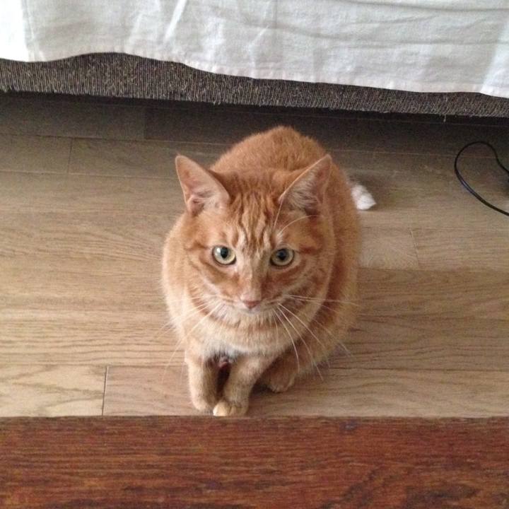 88ac7e0a 41dc 418e ba01 531a07cb1d2d