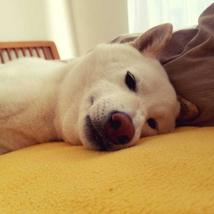 88ade14c 3502 4260 8c00 5bb40814d01d