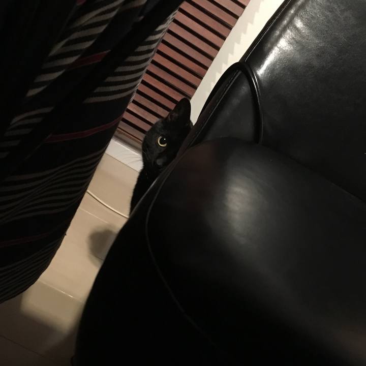 88ae5300 59ef 4b39 94ab c77b23eac1da