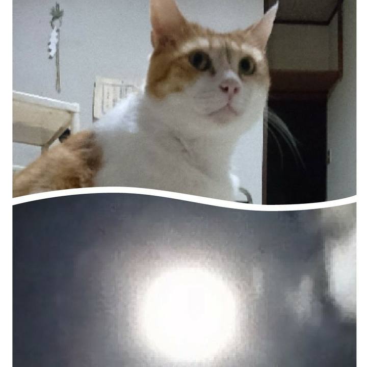 88af952d a4d0 4270 b440 518e4a915260