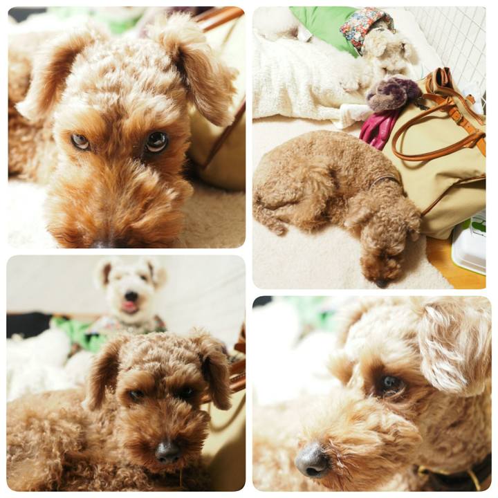 88b083fc fe7c 4529 94a8 a5605f4a5044